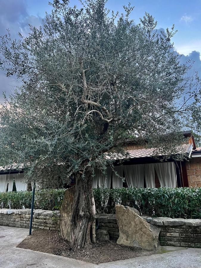 Agriturismo a casa di Susanna Santo Stefano del Sole Exterior foto
